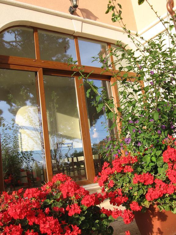 Guest House Caterina Porec Ngoại thất bức ảnh